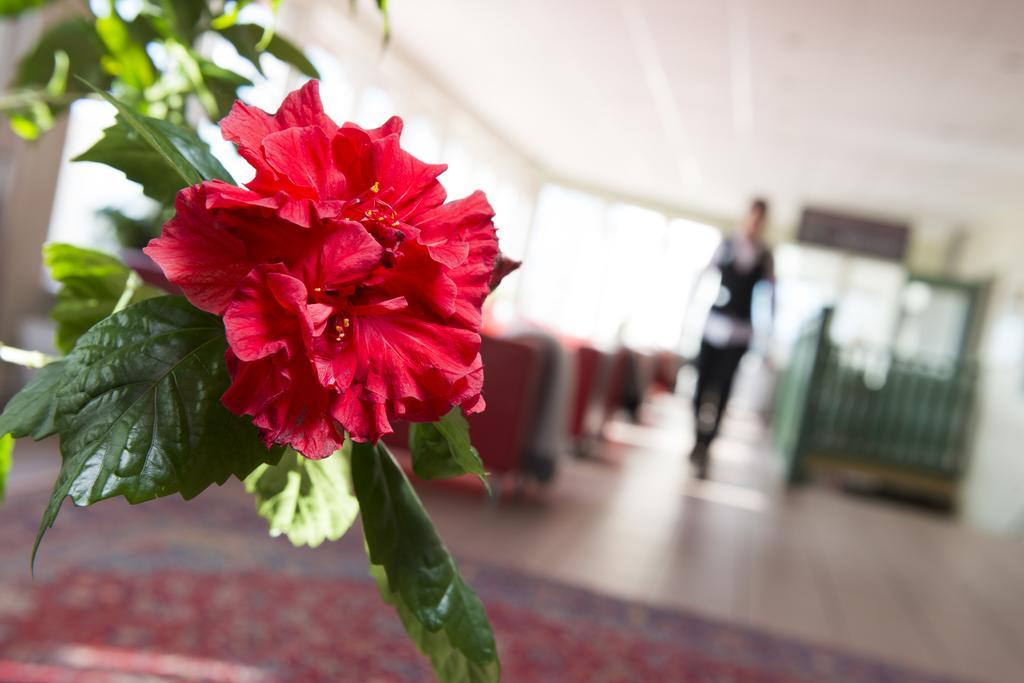 Best Western Hotell Lerdalshoejden Реттвік Екстер'єр фото